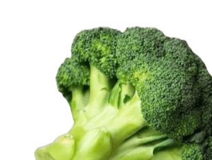 Fresh green broccoli